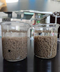 1652167071209650.jpg 2.jpg